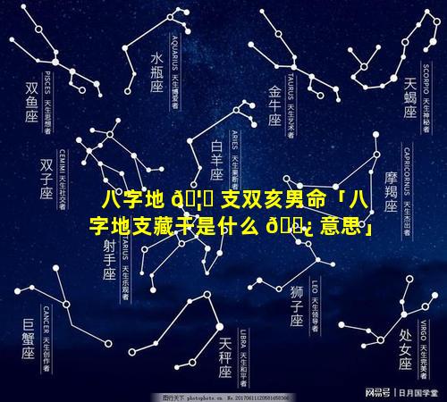 八字地 🦍 支双亥男命「八字地支藏干是什么 🌿 意思」